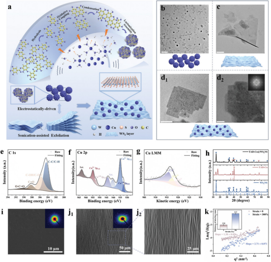 《Advanced Materials》发表航空学院苗应刚合作研究成果-20241225(1)1167.png